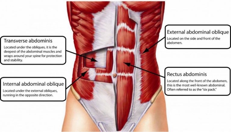 Abdominal hotsell compression exercise