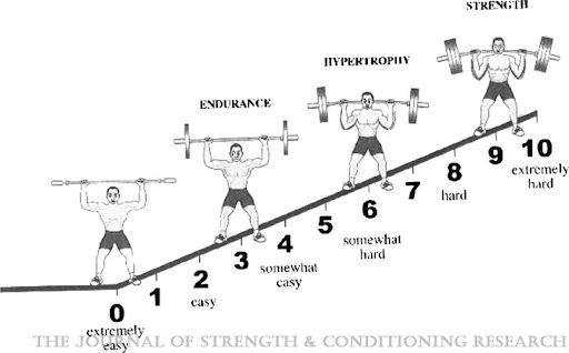 How to Dose Strength Training for Older Adults - Physio Network