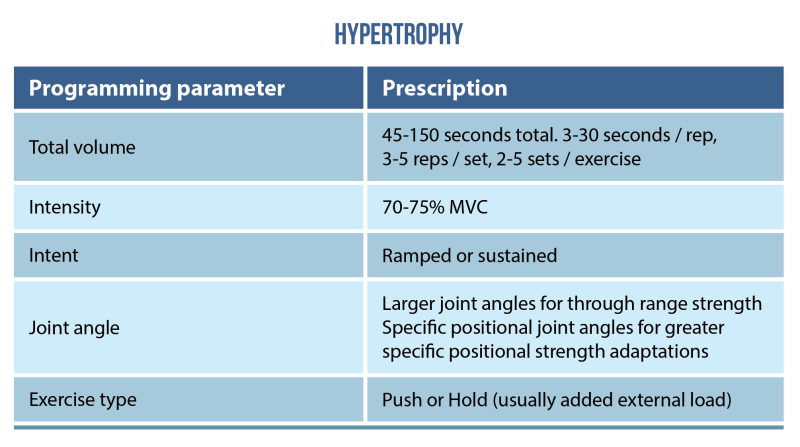 6 Tips To Improve Your Isometric Exercise Prescription Physio Network